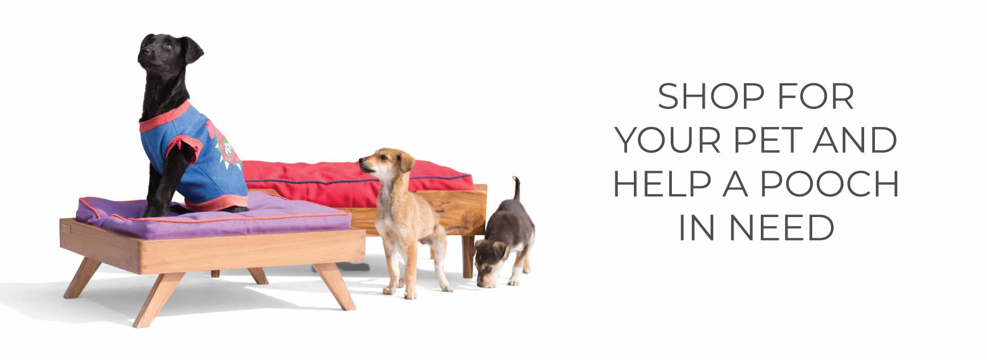 Buy furniture online for pets - Lap and Dado pet beds and pet feeding stations for dogs and cats