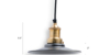 Buy ceiling lights online - Lap and Dado Tahe ceiling light with pewter shade and brass finish holder